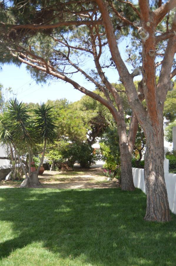 Secret Garden Apartments Mykonos Town Buitenkant foto