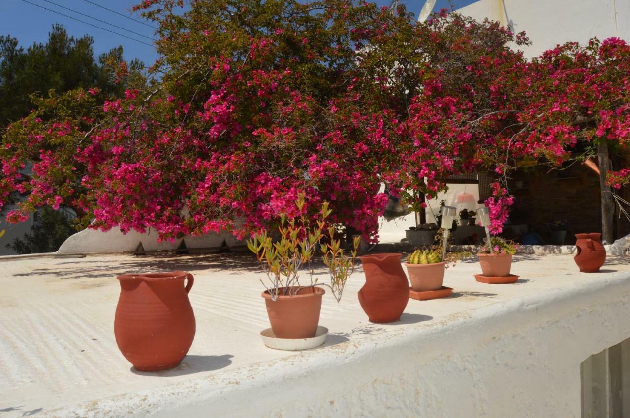 Secret Garden Apartments Mykonos Town Buitenkant foto